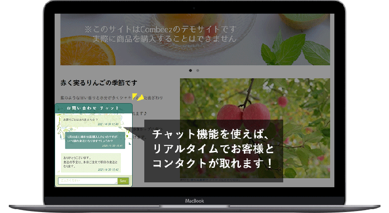 Web接客ツール「Combeez」簡単導入プラグイン(4系)