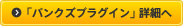 「パンクズプラグイン」詳細へ