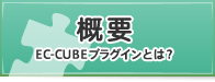 概要/EC-CUBEプラグインとは？