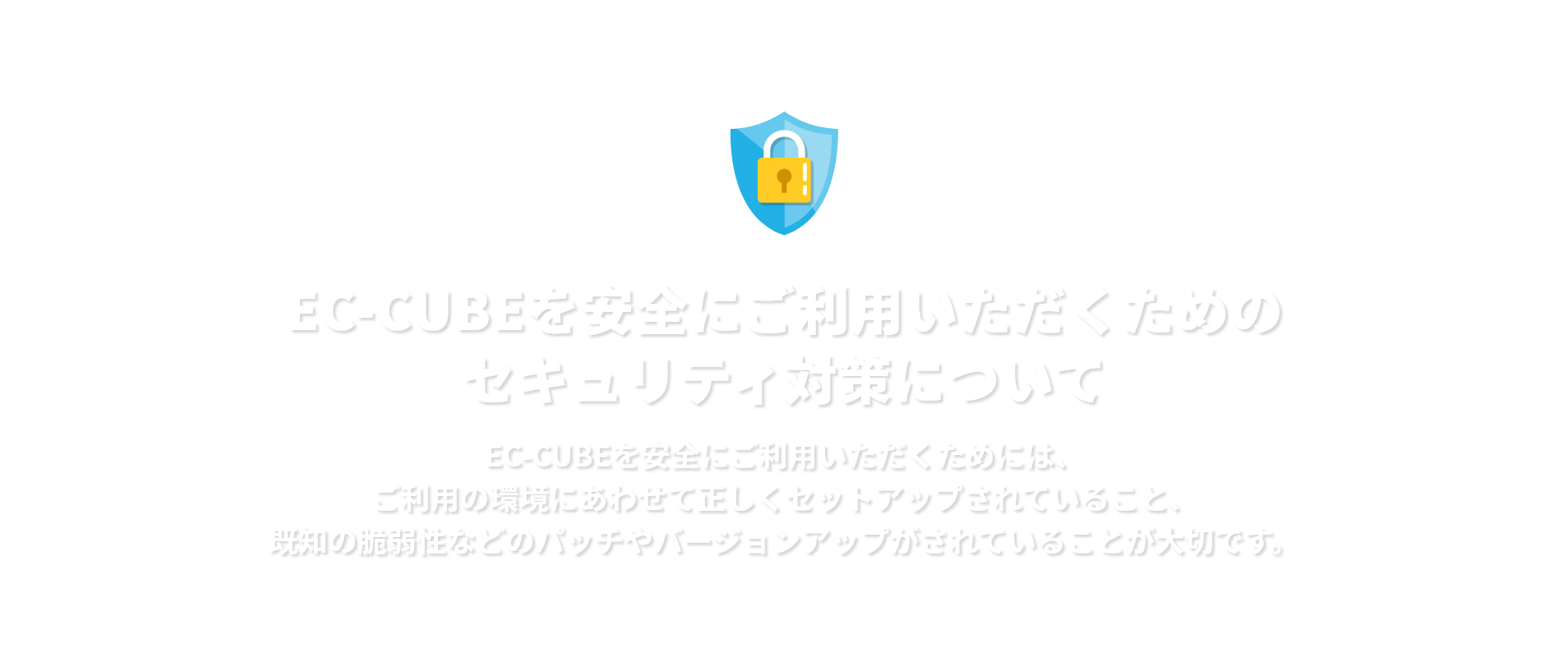 セキュリティ対策についてEC-CUBEを安全にご利用いただくためには、ご利用の環境にあわせて正しくセットアップされていること、既知の脆弱性などのパッチやバージョンアップがされていることが大切です。