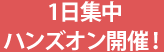 1日集中ハンズオン開催!